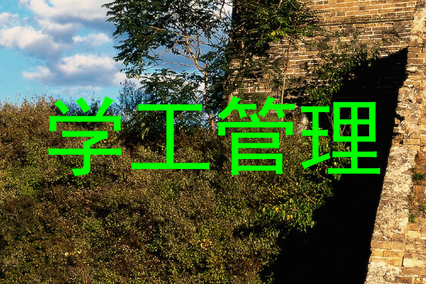 学工管理