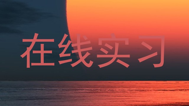在线实习