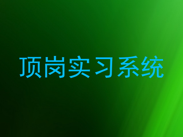 顶岗实习系统