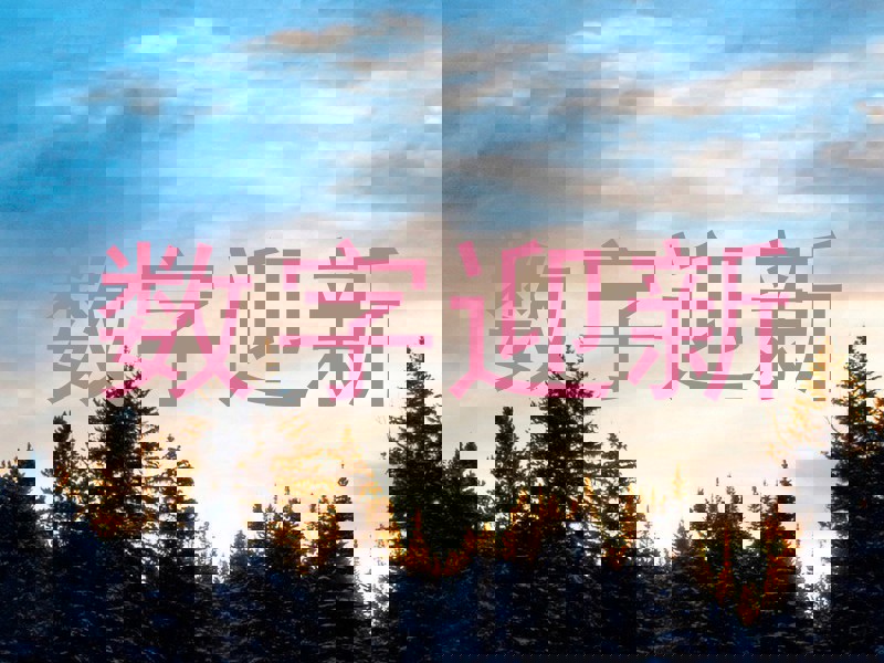 数字迎新