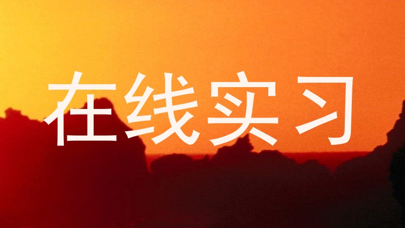 在线实习