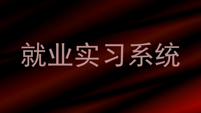 就业实习系统