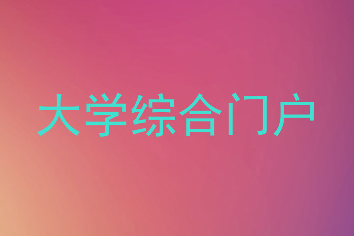 大学综合门户
