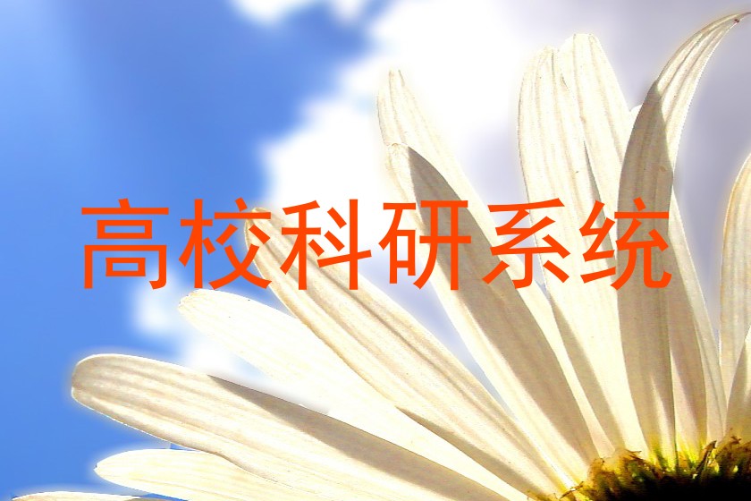 高校科研系统