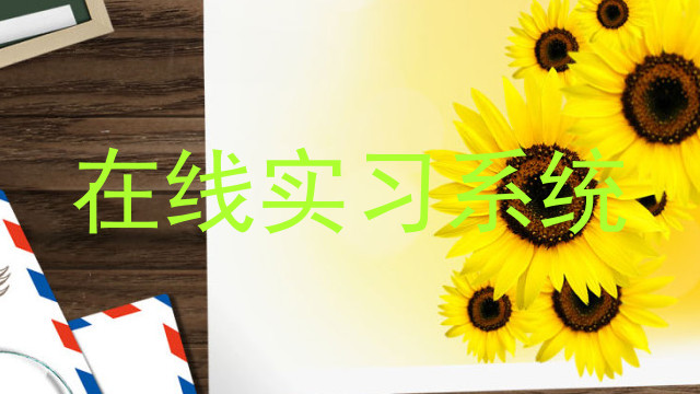 在线实习系统