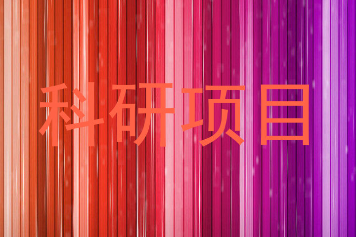 科研项目