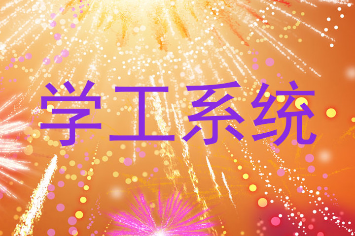 学工系统