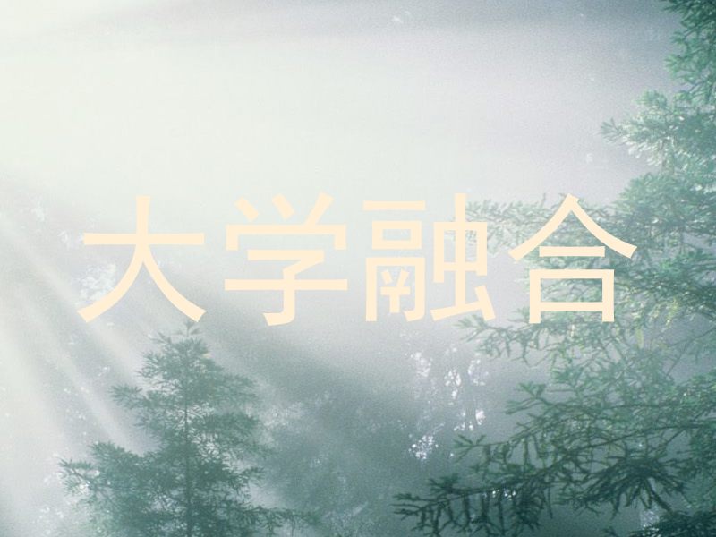 大学融合