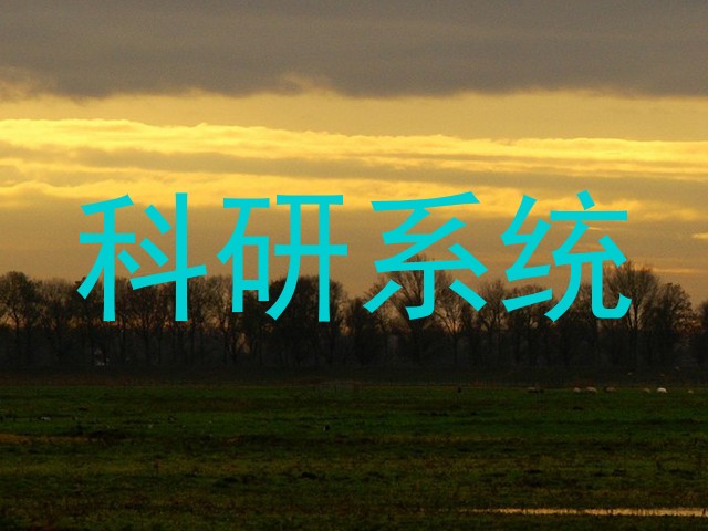 科研系统