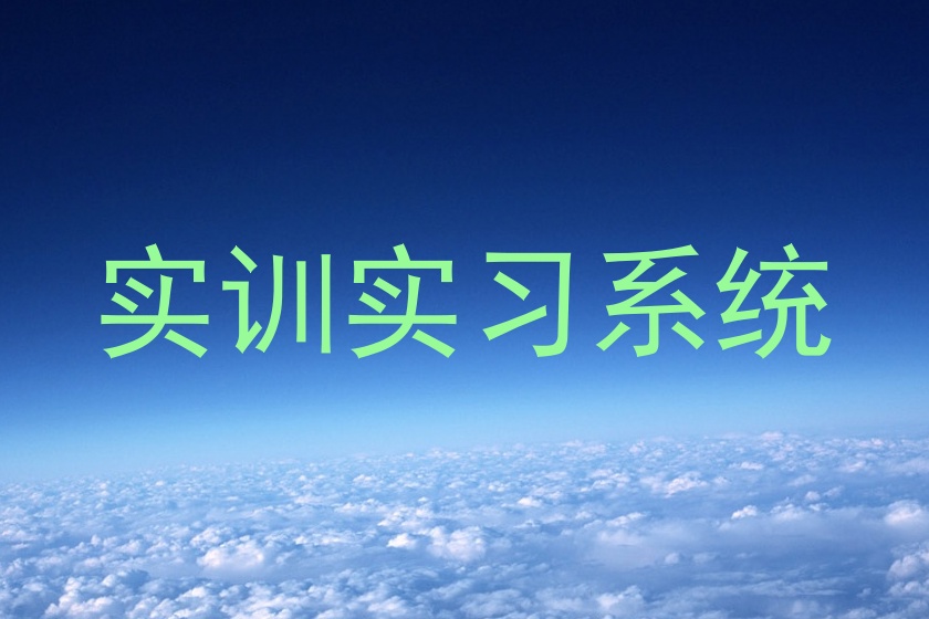 实训实习系统