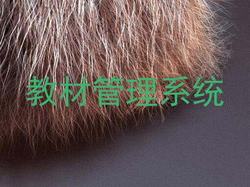 教材管理系统