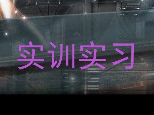 实训实习