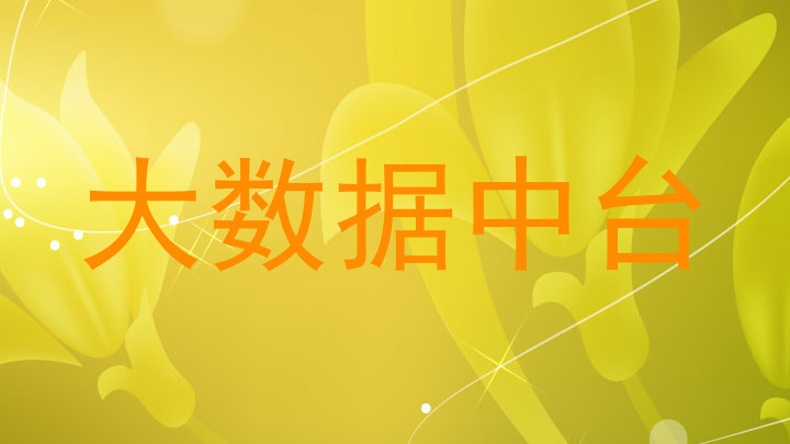 大数据中台