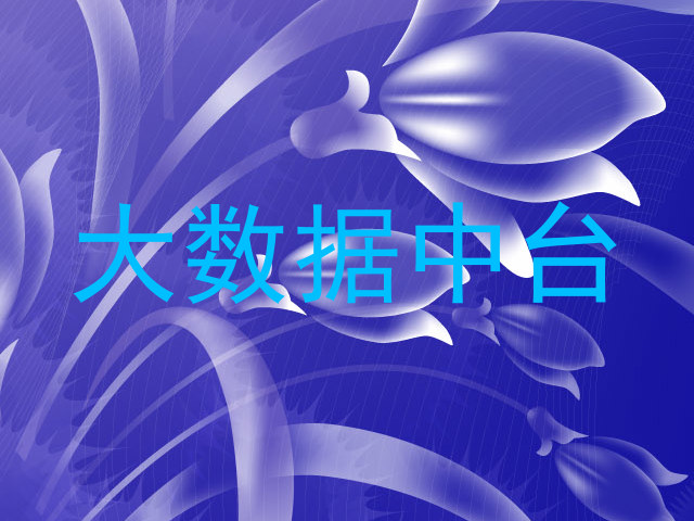 大数据中台