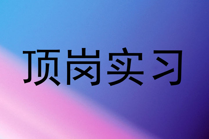 顶岗实习