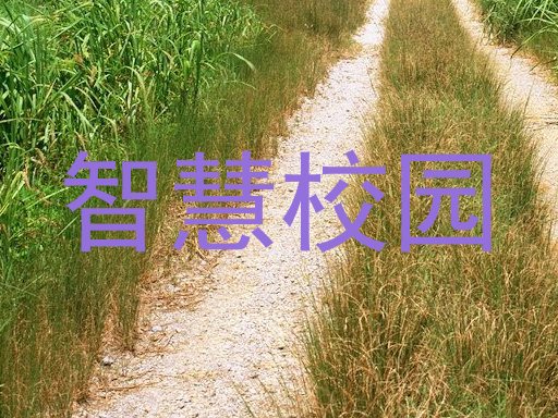 智慧校园