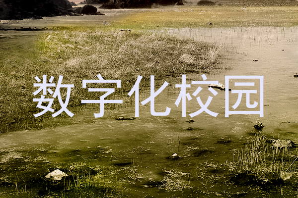 数字化校园
