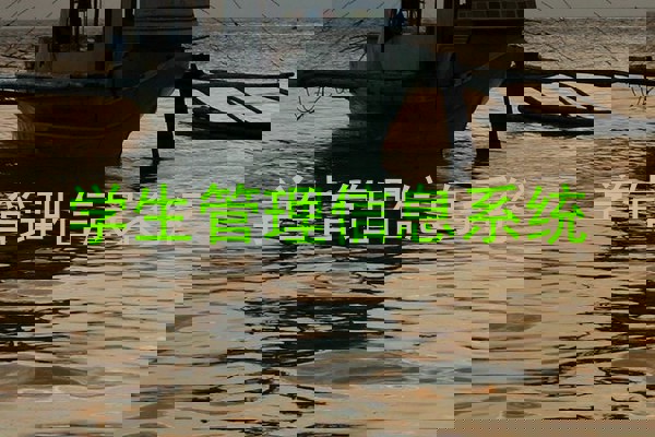 学生管理信息系统