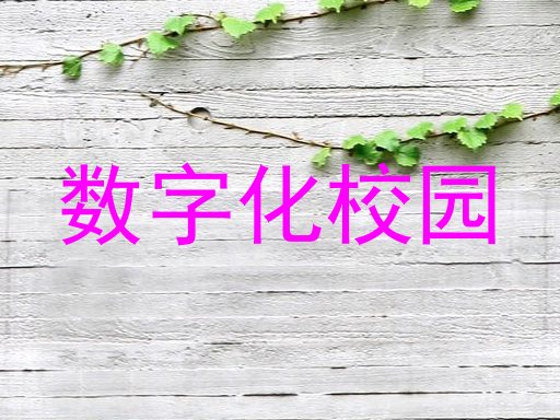 数字化校园