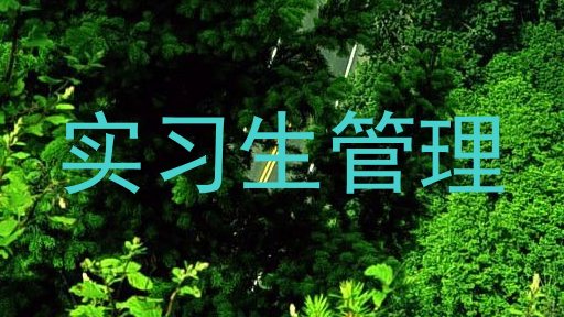实习生管理