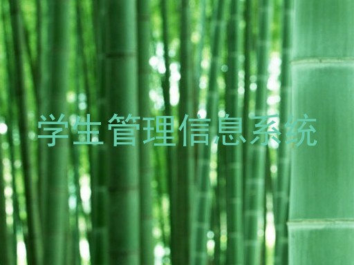 学生管理信息系统