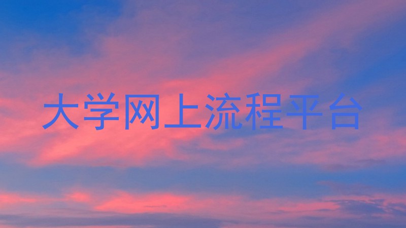 大学网上流程平台