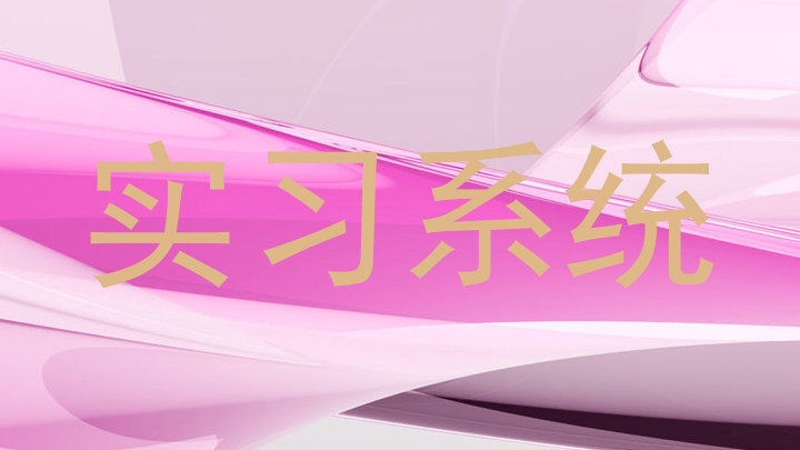 实习系统