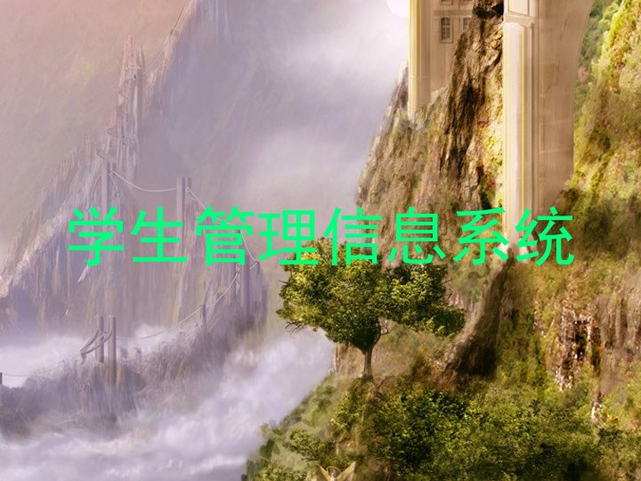 学生管理信息系统
