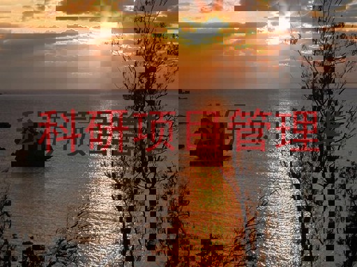 科研项目管理