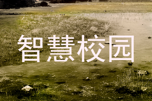 智慧校园