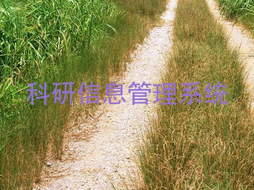 科研信息管理系统