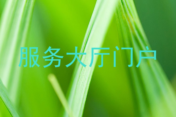 服务大厅门户