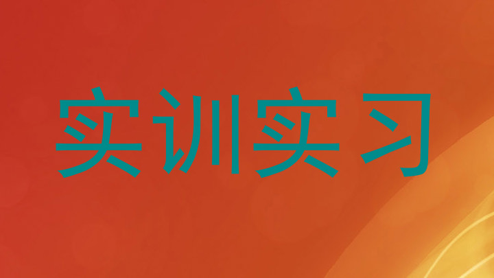 实训实习