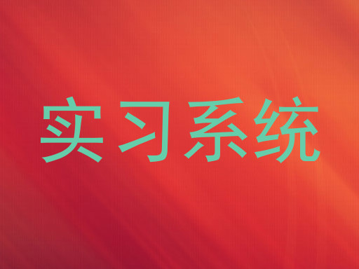 实习系统