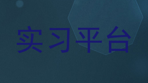 实习平台