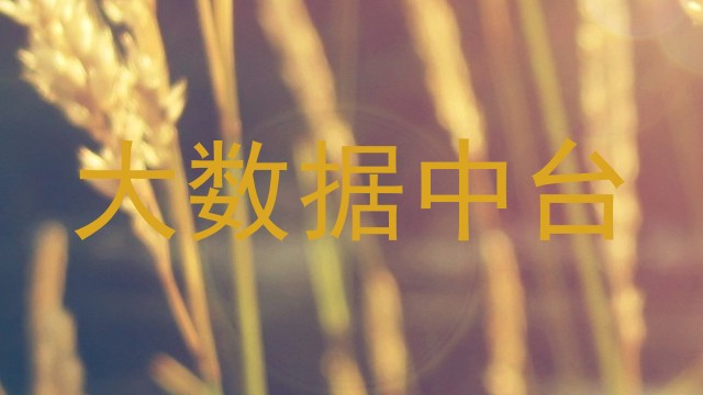 大数据中台