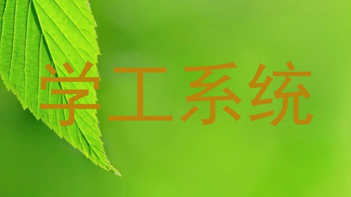 学工系统