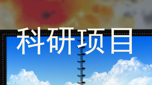 科研项目