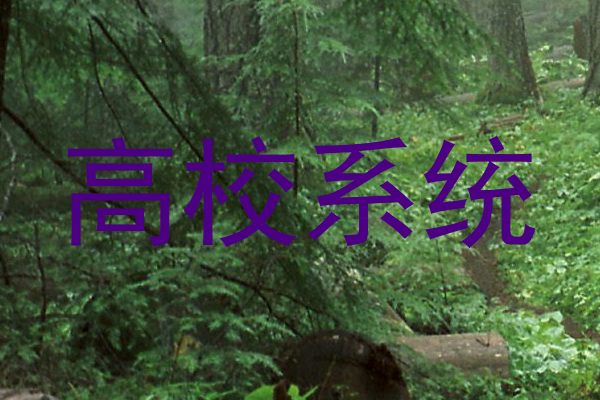 高校系统