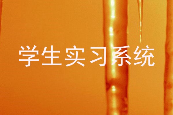 学生实习系统