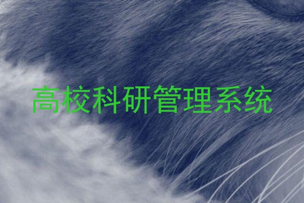 高校科研管理系统