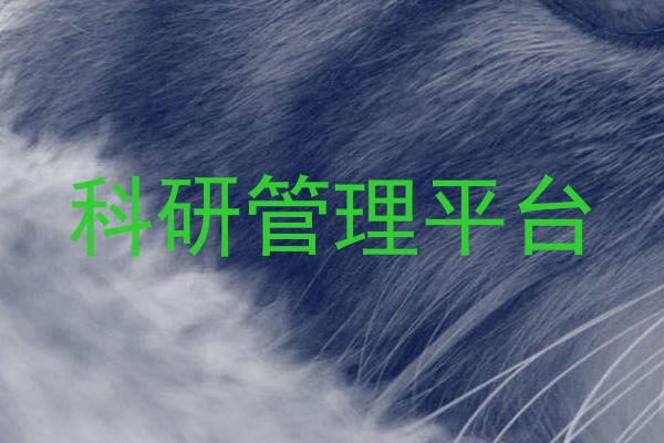 科研管理平台