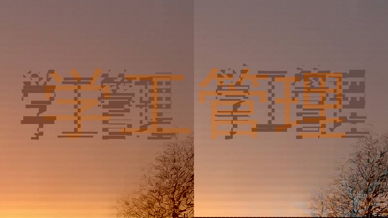 学工管理