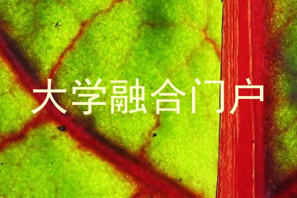 大学融合门户