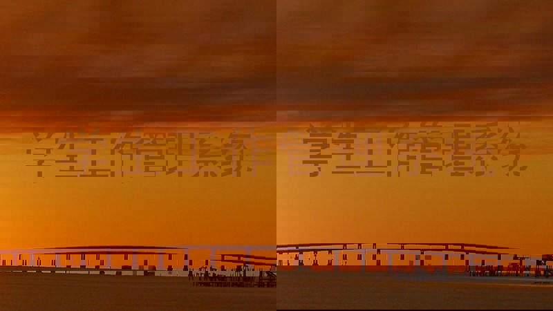 学生工作管理系统