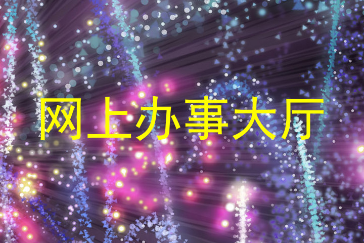 网上办事大厅