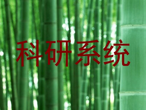 科研系统