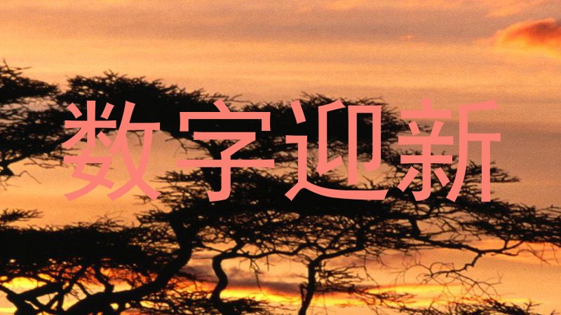 数字迎新