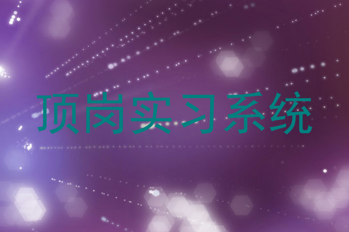 顶岗实习系统