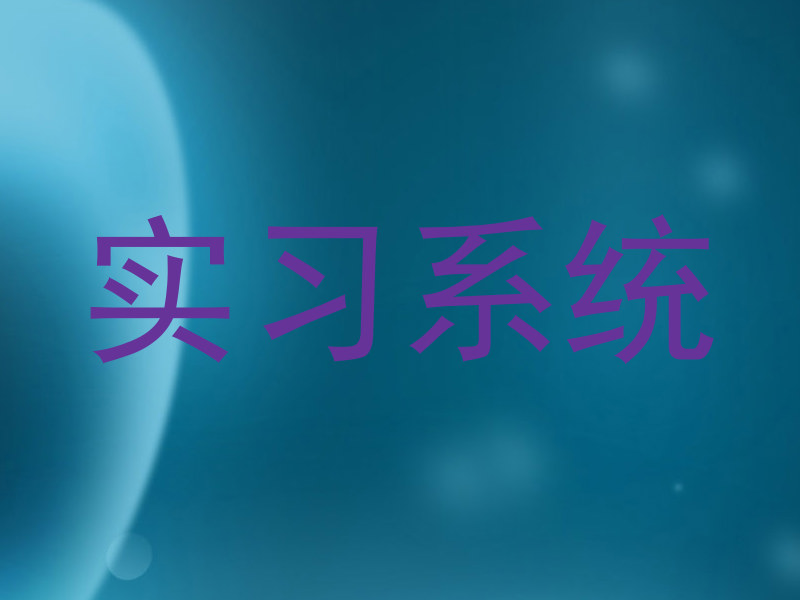 实习系统